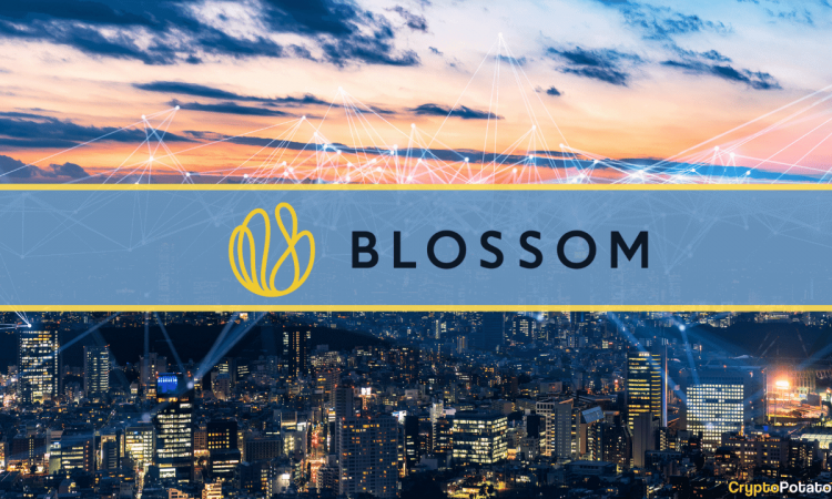 استثمار شركة Blossom Capital في العملات المشفرة. حيث جمعت 432 مليون دولار للاستثمار في شركات التكنولوجيا الناشئة في أوروبا.
